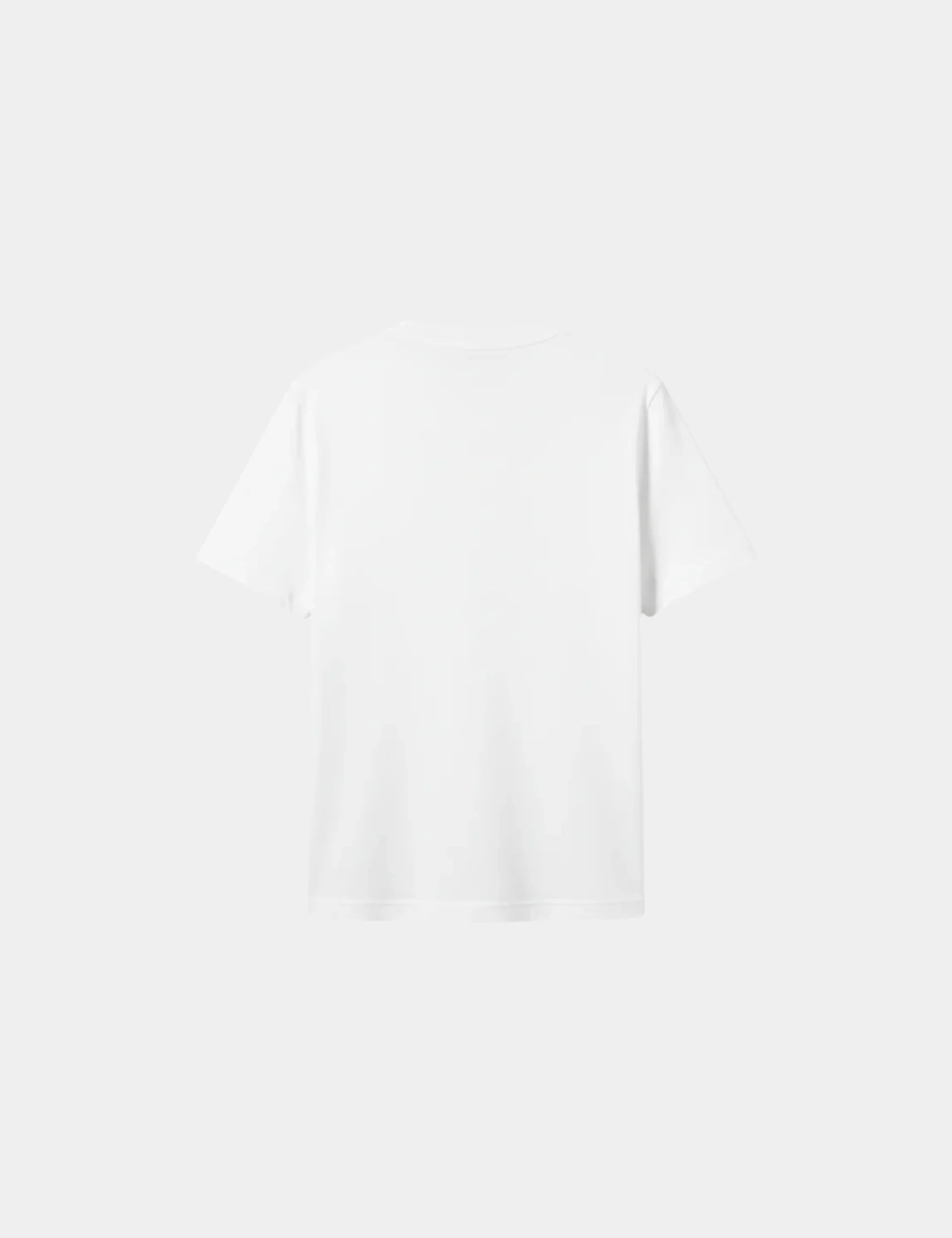 Camiseta Blanca Palmera